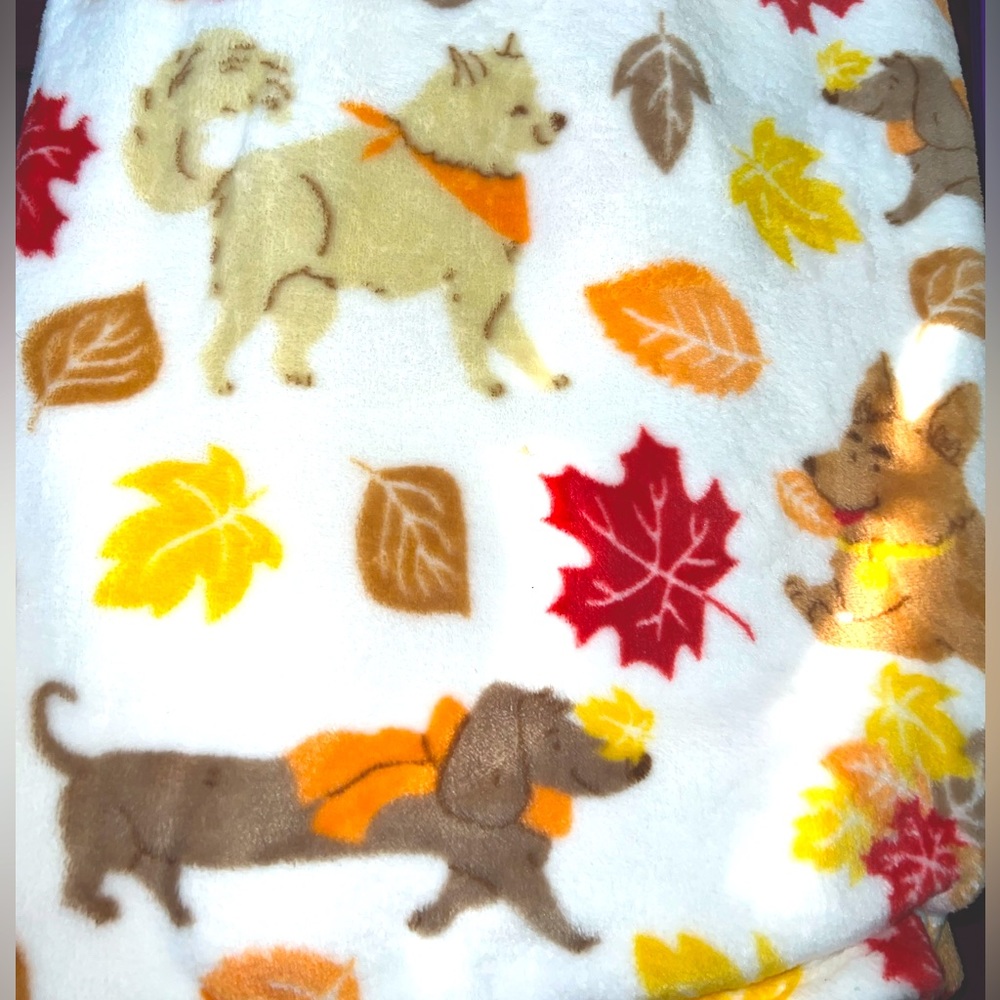Super Soft Blanket with Dachshunds, Chihuahuas and more! 🐾 ☺️